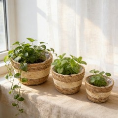 3 Piece Lined Wicker Plant Basket Set 18 22 25 cm Natural Seagrass Decor