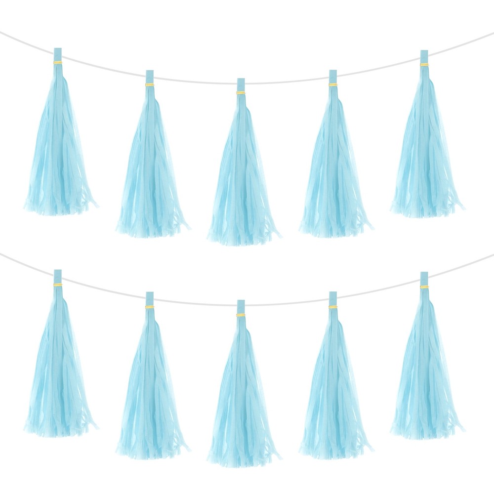 25Pcs Light Blue Tassel Garland Banner with Rope