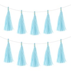 25Pcs Light Blue Tassel Garland Banner with Rope