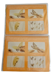Lot of 2 12 pc 3D Butterfly Decorative Cutout Gold Multiple Sizes 2”-4″ Stick On