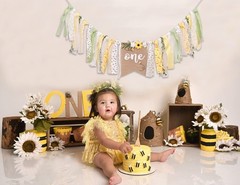 Bee Theme 1st Birthday High Chair Banner Multicolor Bee and Flower Pattern, …