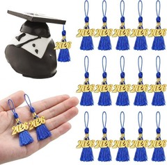 Versatile 60 Pack 2.4in Blue Graduation Tassels with 2026 Charm – Perfect Decor