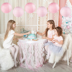 6PCS Pink Gingham Party Decoration Pink Paper Lanterns Pink and White Checkered