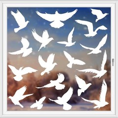 37Pcs Anti Collision Window Clings, Save The Birds from Strikes, White