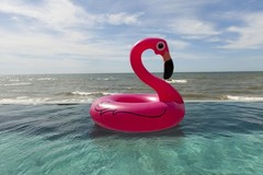 2 Pack 48 Inch Flamingo Inflatable Pool Float Swim Ring Blow Up Water Float