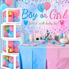 Gender Reveal Balloon Boxes Pink Blue Arch Decor