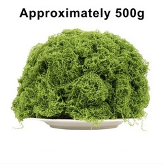Natural 500g Artificial Moss for DIY Crafts Garden and Indoor Decoration
