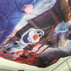 Frozen Animated Movie Large Happy Birthday Banner Flag Olaf Anna Elsa Kristoff