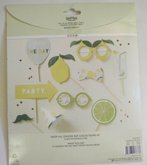 Ginger Ray Photo Booth Props, 10 Squeeze the Day Party, Lemonade Lime, NEW