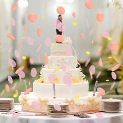 1 Inch Pink Rose Gold Mixed Round Tissue Paper Confetti Dots 1.76oz Decor