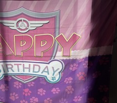 Paw Patrol “Happy Birthday” Cloth Banner 71” Wide x 43” Tall