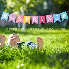 DONCIDAY Hello Spring Banner,Pre-assembled 6 inches x 8 inches, Banner