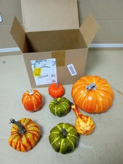 ADQUATOR Artificial Pumpkins 7 Pieces Orange Green Autumn Decoration Plastic New