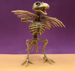 CROW SKELETON BIRD Poseable Wings & Jaw Prop Decoration 7.25″ Distressed