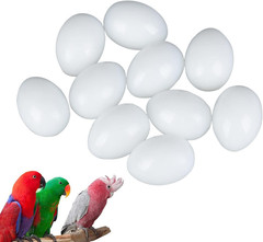 10Pcs Solid Parrot Plastic Fake Eggs Realistic, Simulated Fake Bird Eggs for Hat