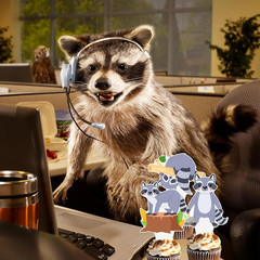 48Pcs Raccoon Theme Cupcake Toppers Woodland Animal Birthday Party Decorations C