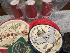Harry Potter Baby Shower Banner and Party Supplies Welcome Tiny Muggle