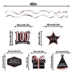 LINGTEER Happy 100th Birthday Decorations – 12Pcs 100th, Rose Gold