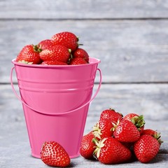 6 Pack 5″ Small Pink Metal Galvanized Buckets Bulk with Handle Mini Metal Pen…