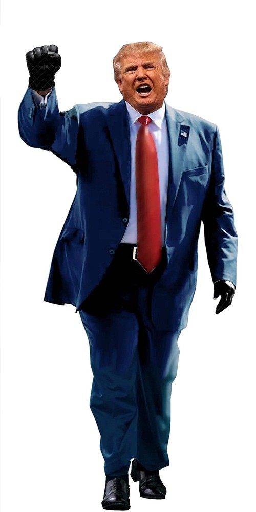 aahs!! Engraving President Trump Black Gloves Life Size Cardboard Stand Up, 6 fe