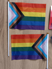 Rainbow Intersex Progress Pride Flag & Blue Star Sunglasses Party Supplies Lot