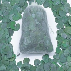 3200preserved Real Eucalyptus Leaves Small Pure Natural Bulk Eucalyptus Biodegra