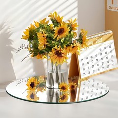 PASOCON 18 Pack Round Mirrors for Centerpieces, Circle Mirror Centerpieces fo…