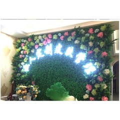 Terrarium Artificial Plant for Reptiles Hanging Climbing Foliage Decor 1pc