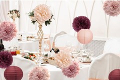Hanging Party Decorations Tissue Paper Pom Poms & Lanterns Decor for Any Occassi