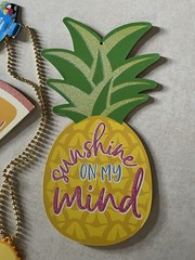 Sunshine Party Pack with 2 Summer Signs and 1 Sunshine Necklace