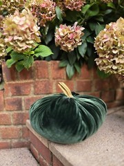 Forest Green Silk Velvet X-LARGE Pumpkin Rustic Farmhouse Wedding…