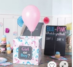 NEW Small Pink & Blue Gender Reveal Balloon Cardboard Box & Sign – Baby Party