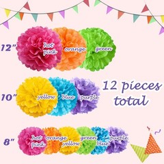 20 Pcs Multicolor Tissue Paper Pom Poms for Birthday Party Fiesta Decor