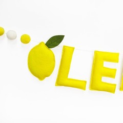 Lemonade Stand Decorations Pre-Strung Handmade Felt Lemonade Sign Banner Wool…