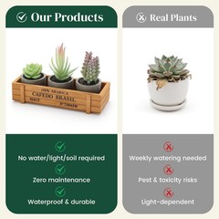 DomeStar Set of 3 Mini Potted Artificial Succulent Plants Faux Plant Green
