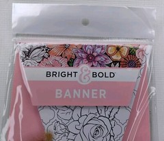 Bright & Bold Paper Banner Kit Color Your Own Party Banners – Roses