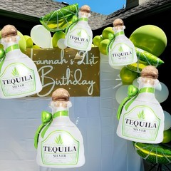 6Pcs Tequila Balloons/Tequila Party Decorations/Green Bow Lime Margarita Ball…