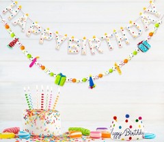 Happy Birthday Banner – Handmade Wool Felt Garland, Reusable Rainbow Decor