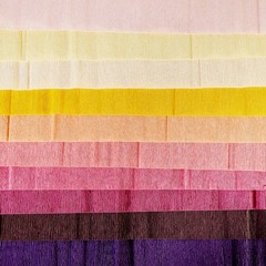 Lia Griffith LG11032 Heavy Crepe Paper English Garden DIY Flower Craft Gift