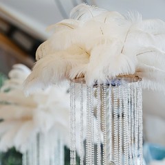 100 Pcs Natural Black / White Ostrich Feathers for Wedding White