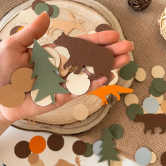 100PCS Woodland Confetti, Forest Animals Party Decor, Woodland Baby Shower, Boy