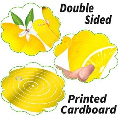20 PCS Lemon Hanging Swirls Decorations Citrus Ceiling Summer Fruit Party