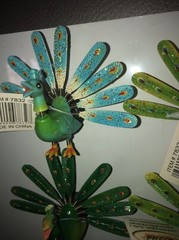12 Qty Bobble Magnets -Peacock Party Favors Fun 🤩