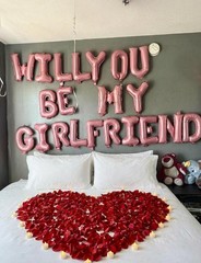 Pink Will You Be My Girlfriend Balloons Set, Valentines Day Balloon Banner wi…