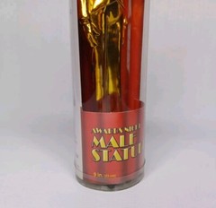 Beistle Awards Night Gold Tone Male Statuette Award Party Decor Or Prize 2007