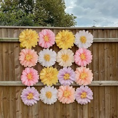 12 Pcs Daisy Tissue Paper Pom Poms Party Decorations 4 inches, Colorful