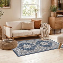 2×4 Non-Slip Entryway Area Rugs: Washable Stain Resistant Kitchen 2×4, Blue
