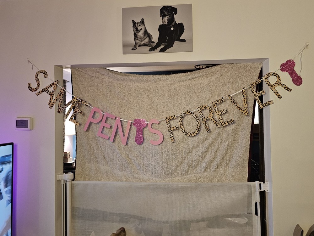 Handmade Bachelorette Party Banner