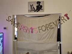 Handmade Bachelorette Party Banner