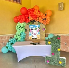 Moana Party Decorations Pin The Nose on Pig Game for Kids Moana…